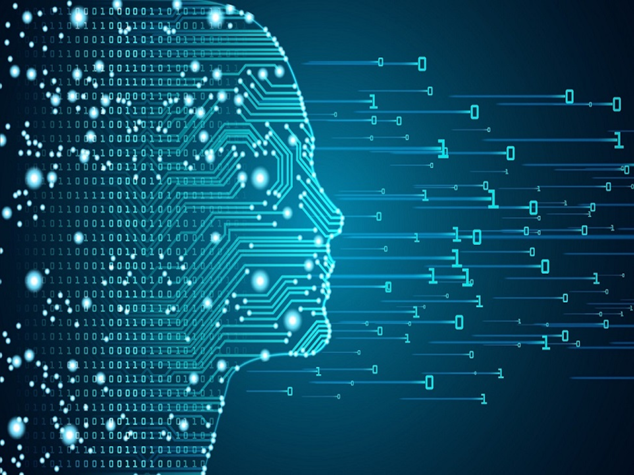 Digitized representation of profile of human head