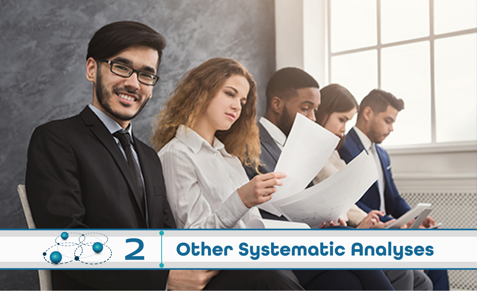 Level 2: Other Systematic Analysis
