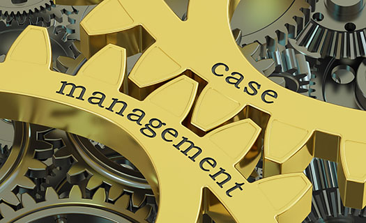 case management gearwheels