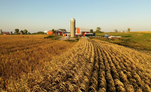 farm field with farm and silo in the distance