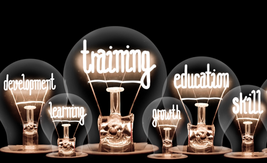 Stylized realistic light bulbs with filaments spelling out words, including development training, growth, education, and skill.