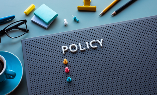 A peg board on a modern desk with letters spelling out POLICY and thumbtacks like bullet points below.