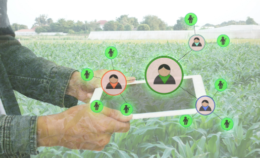 A person in a field of crops holding a tablet with a web of human silhouettes superimposed to represent recruiting workers.