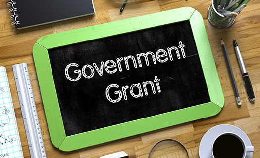 Government-Grant