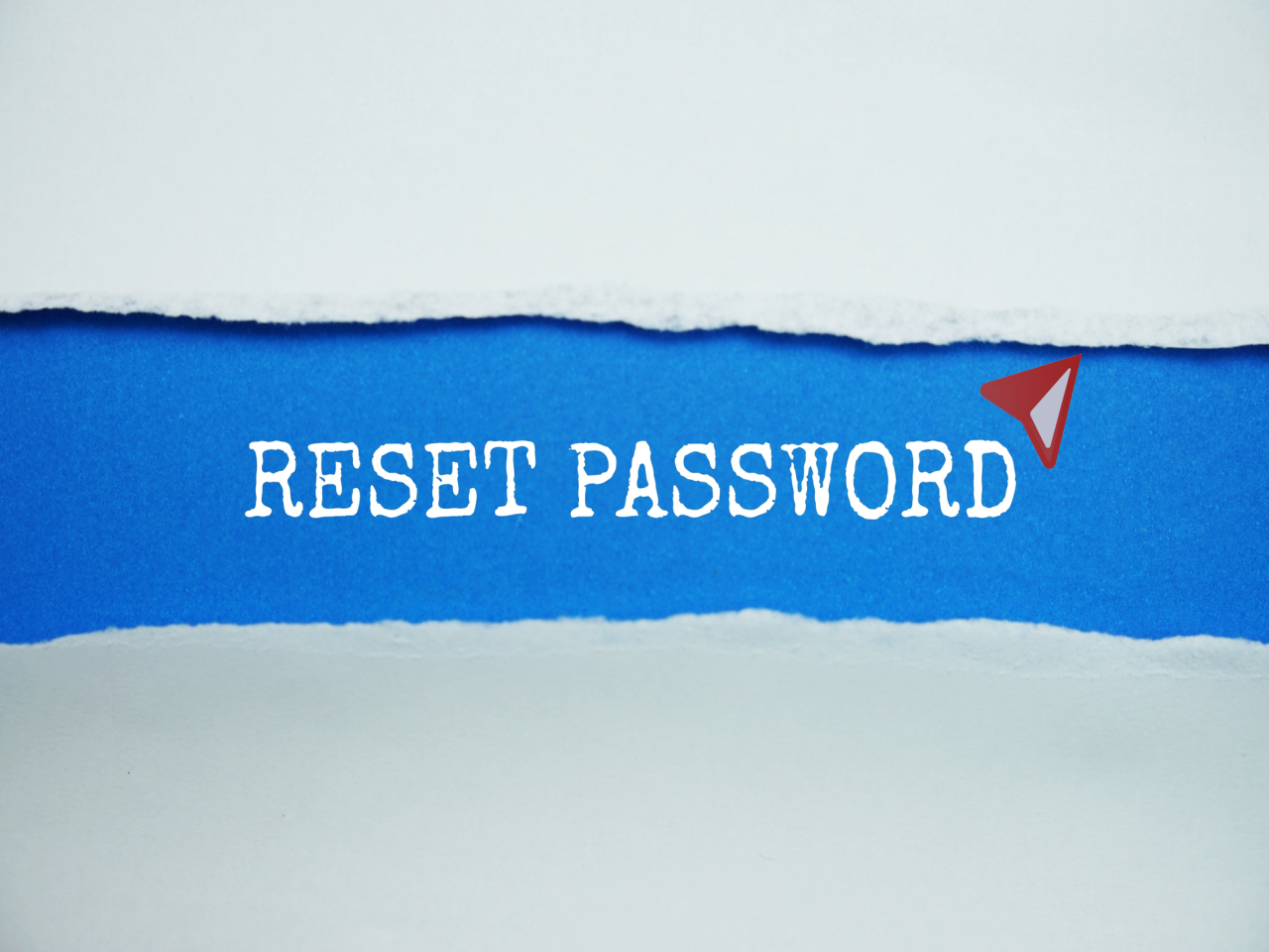 Reset Password