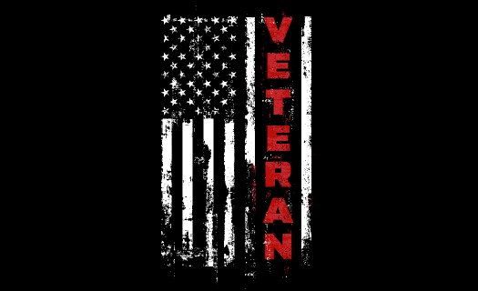 Version of the American flag in black and white with the word VETERAN in red replacing one of the stripes.